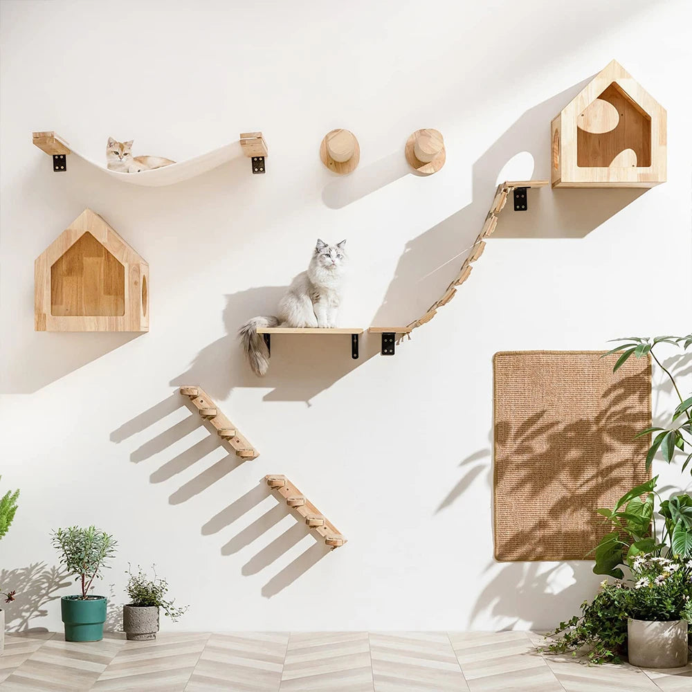 The "Ascend" 5-Piece Natural Pine Wall Suite – Modular Climbing Ladder & Hideaway